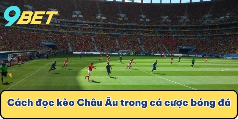 Cách đọc kèo Châu Âu trong cá cược bóng đá