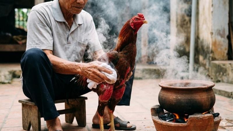 Hướng dẫn cách om bóp gà chọi giúp chiến kê da đỏ như gấc 1 cach-om-bop-ga-choi